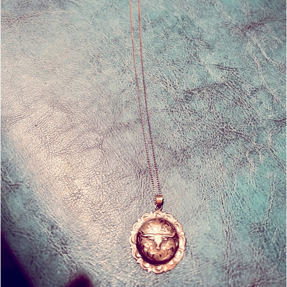 Sterling silver necklace with a steer head pendant.